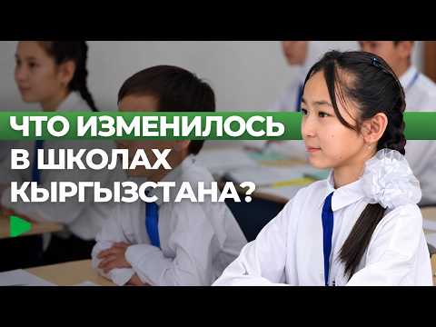 Фото: Номад ТВ (YouTube)