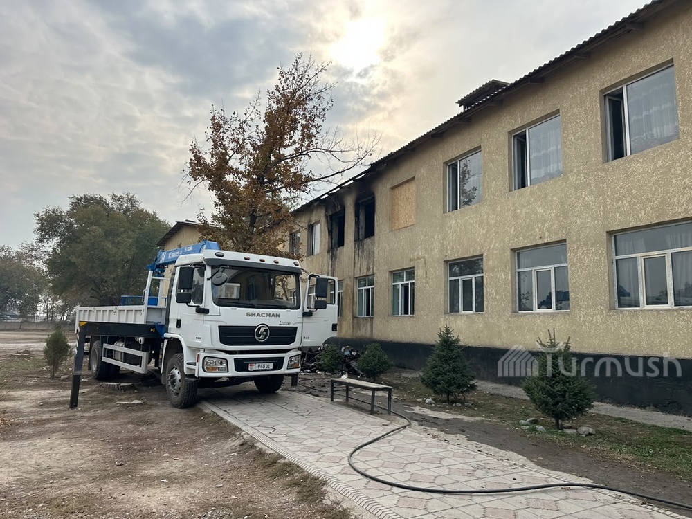 Сүрөт: Turmush
