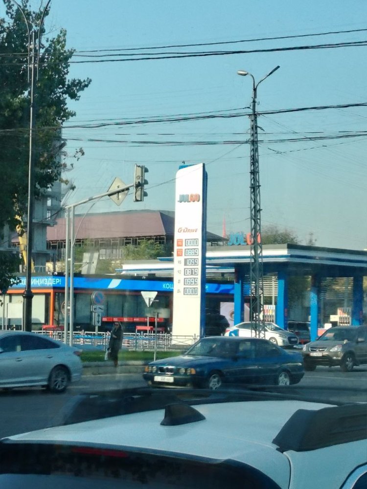 Сүрөт: Kaktus.media