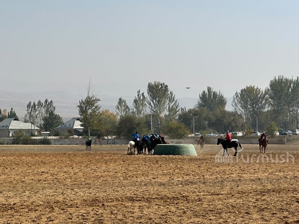Сүрөт: Turmush