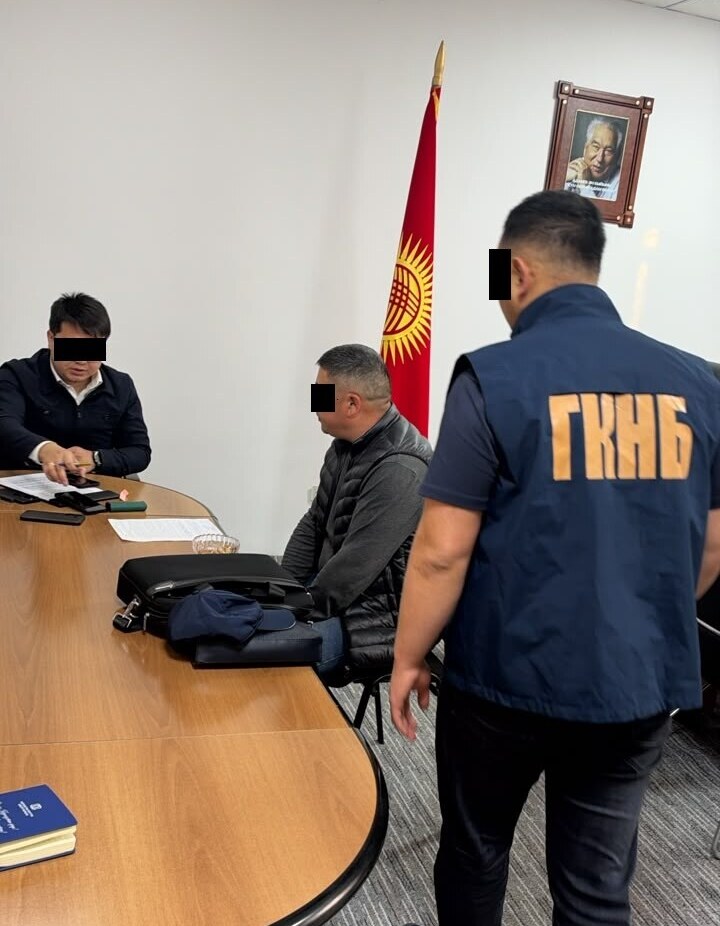 Сүрөт: Эркин-Тоо