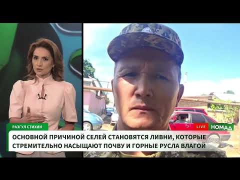 Фото: Номад ТВ (YouTube)