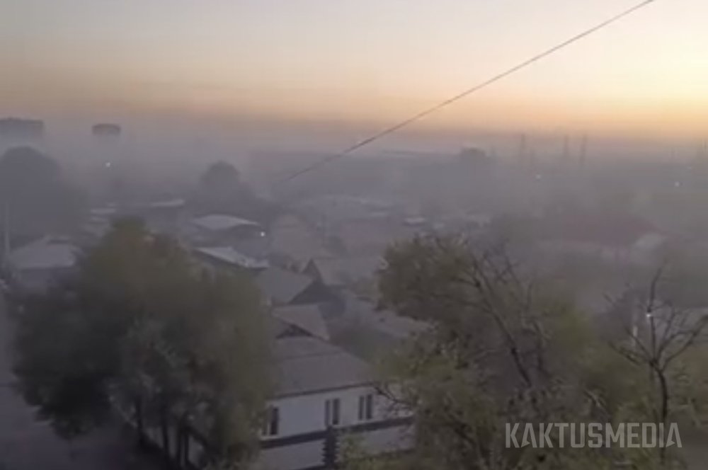 Сүрөт: Kaktus.media