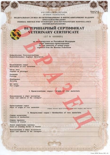 Минсельхоз: оформление ветеринарных сертификатов для экспорта переведено в систему «Тулпар»