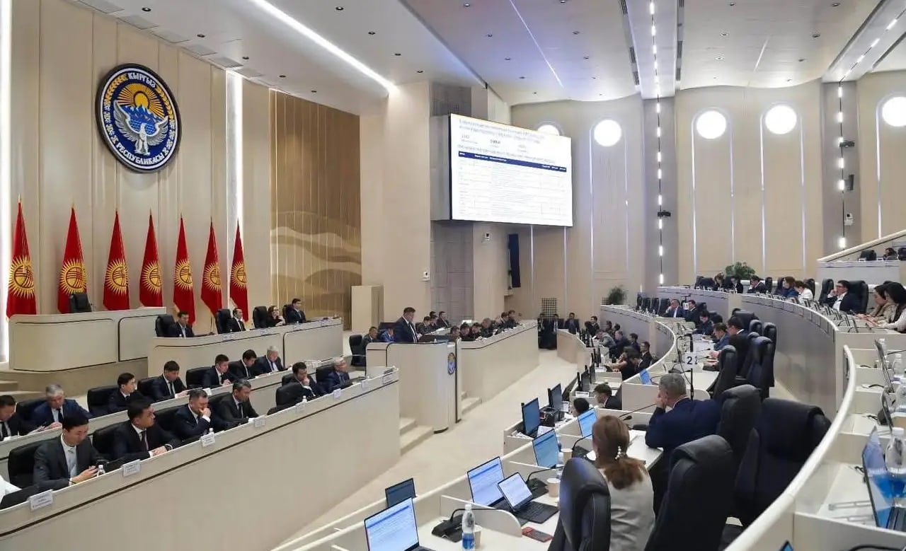 Жогорку Кенеш принял поправки в закон об экоэкспертизе и ужесточил ответственность за оборот сырья