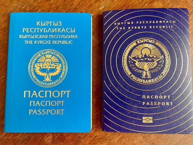Депутат поднял вопрос о невозможности получения паспортов детям этнических кыргызов в Степном