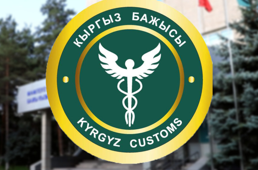 ГТС транзиттик декларациялар боюнча айтылгандарга комментарий берди: кылмыш иши козголду