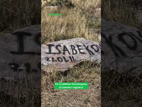 Сообщается об инциденте на территории предприятия «Сулайман-ТОО»