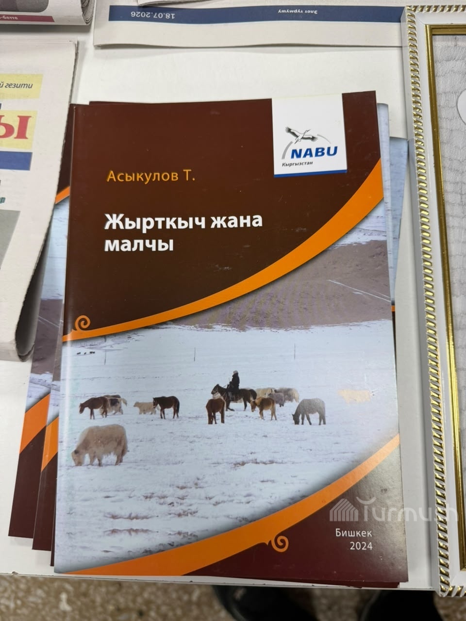 Сүрөт: Turmush
