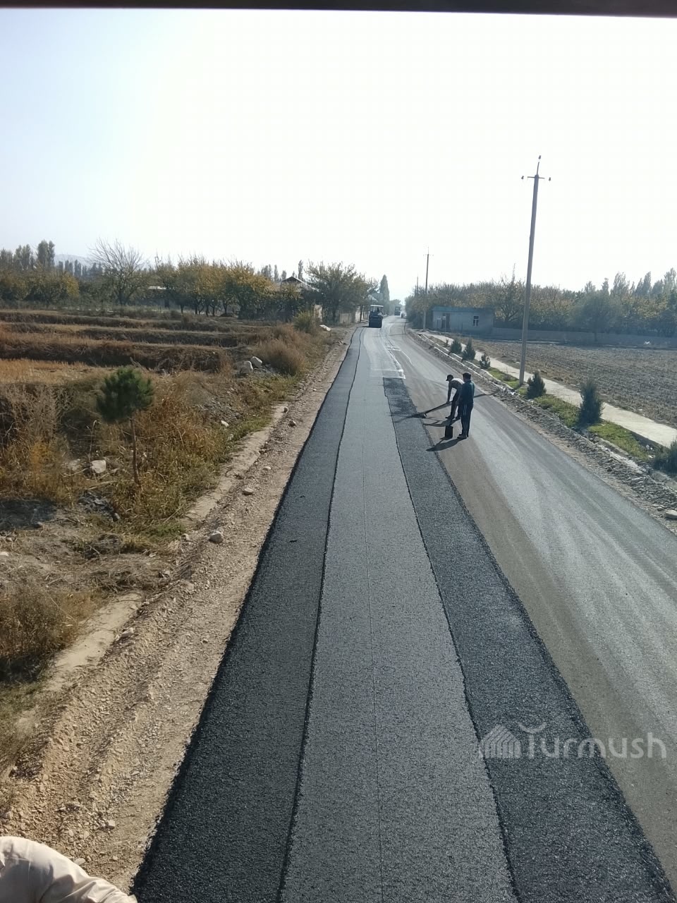 Сүрөт: Turmush