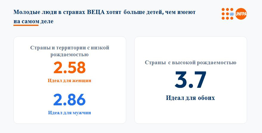 Сүрөт: Kaktus.media