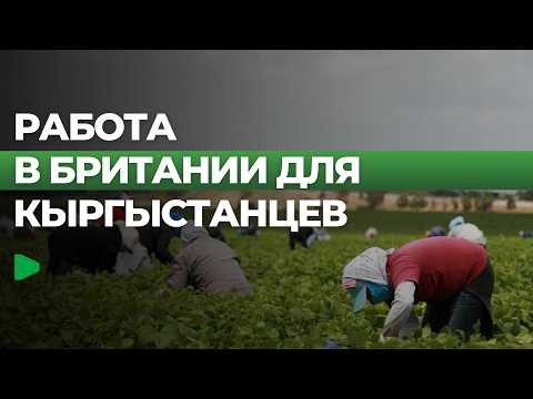 Сүрөт: Номад ТВ (YouTube)