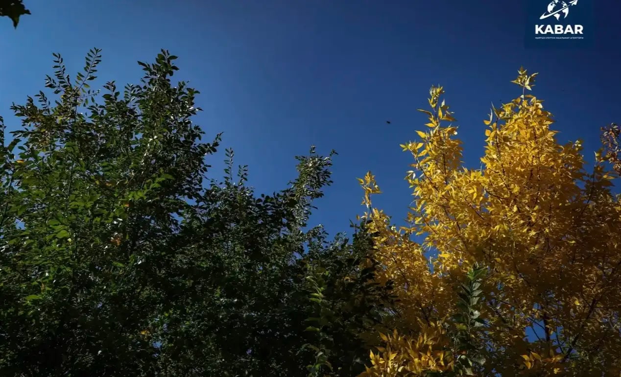 Фото: Кабар (рус.)