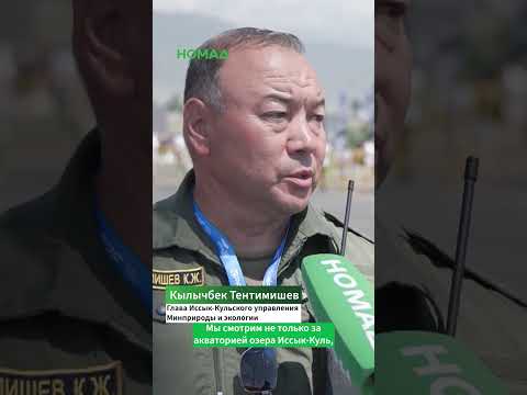 Фото: Номад ТВ (YouTube)