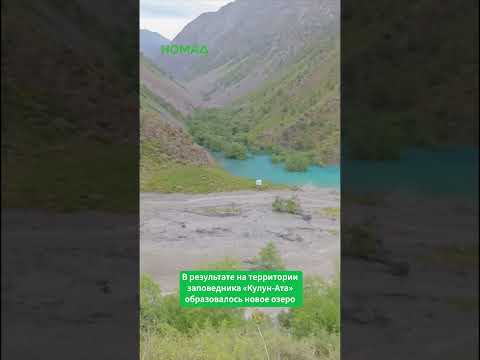 Түштүк Кыргызстанда күчтүү селдин кесепеттери