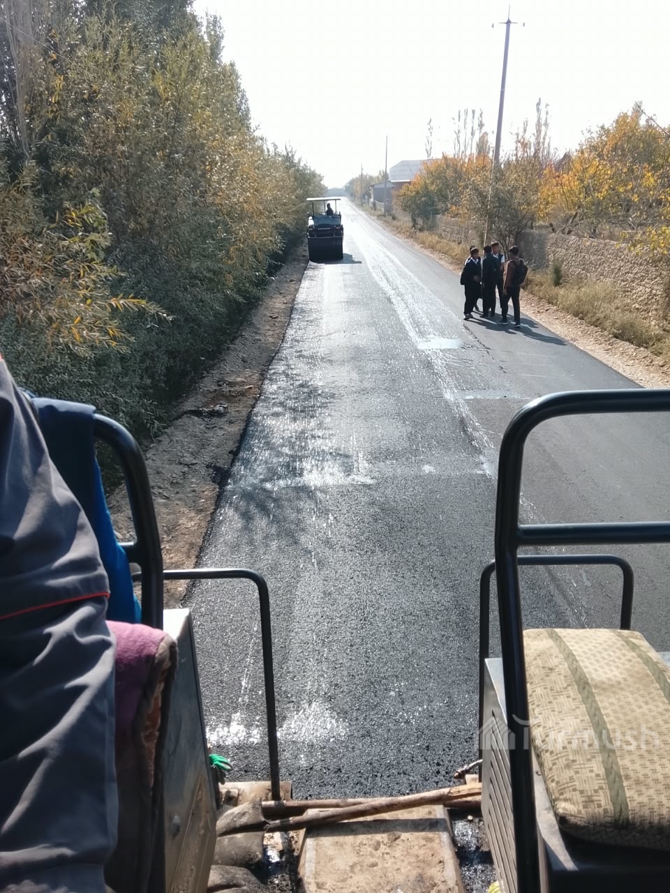 Сүрөт: Turmush