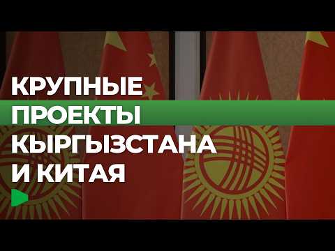 Фото: Номад ТВ (YouTube)