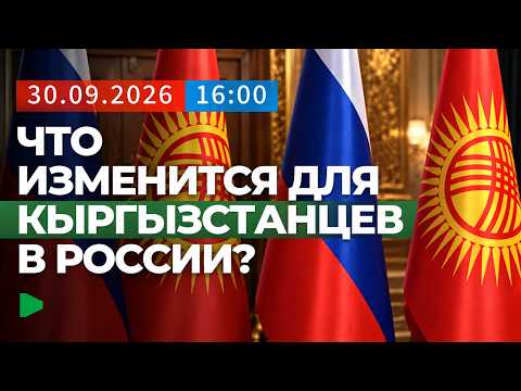 Фото: Номад ТВ (YouTube)