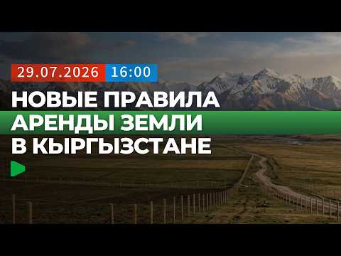 Сүрөт: Номад ТВ (YouTube)