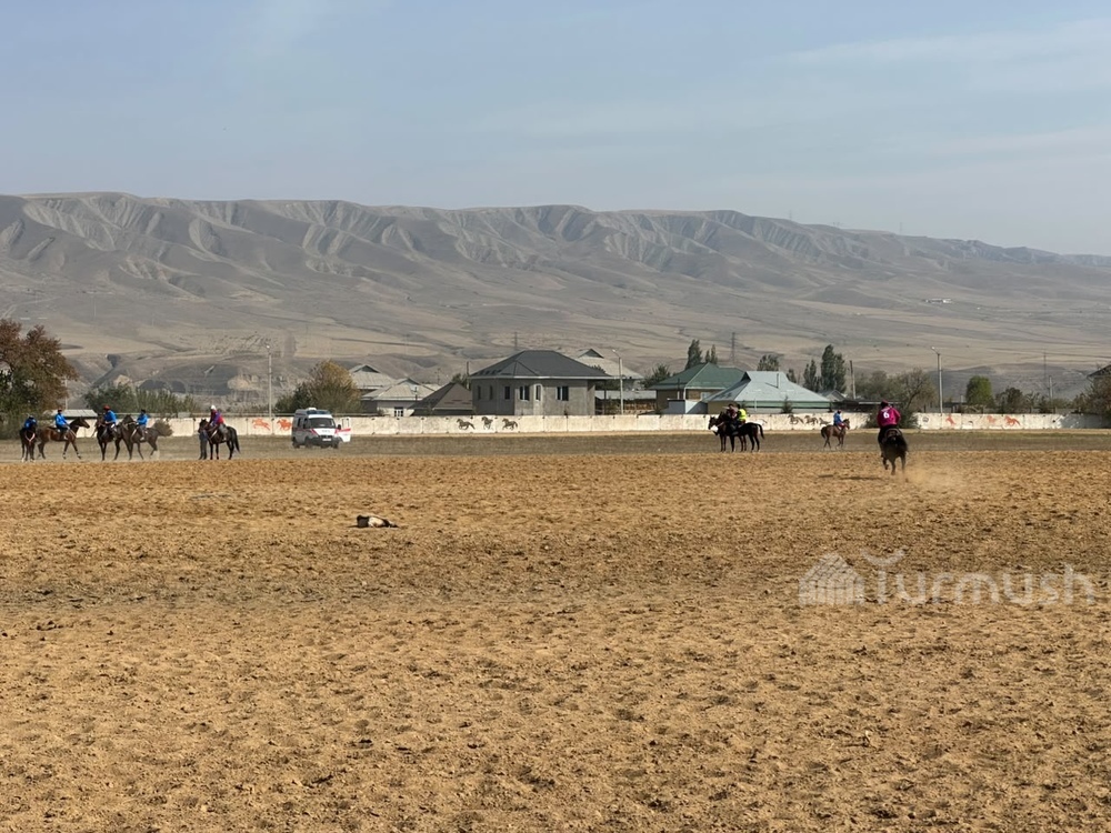 Фото: Turmush