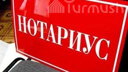 Нарын шаар тургундары мамлекеттик нотариустардын жетишсиздиги жана узак кезектер тууралуу жалынды жалунашат
