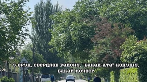 Фото: Кабар (рус.)