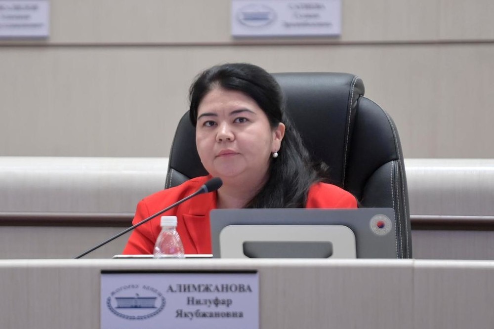 Проблема поливной воды в селе Тескей Ноокатского района не решена, несмотря на готовый проект на 30 млн сомов
