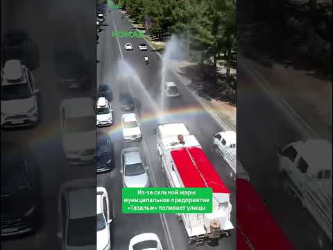 Бишкек шаарынын мэриясы калкка кантип кубаныч тартуулады?