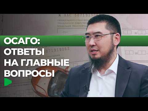 Фото: Номад ТВ (YouTube)