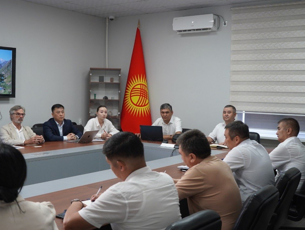 Сүрөт: Kaktus.media