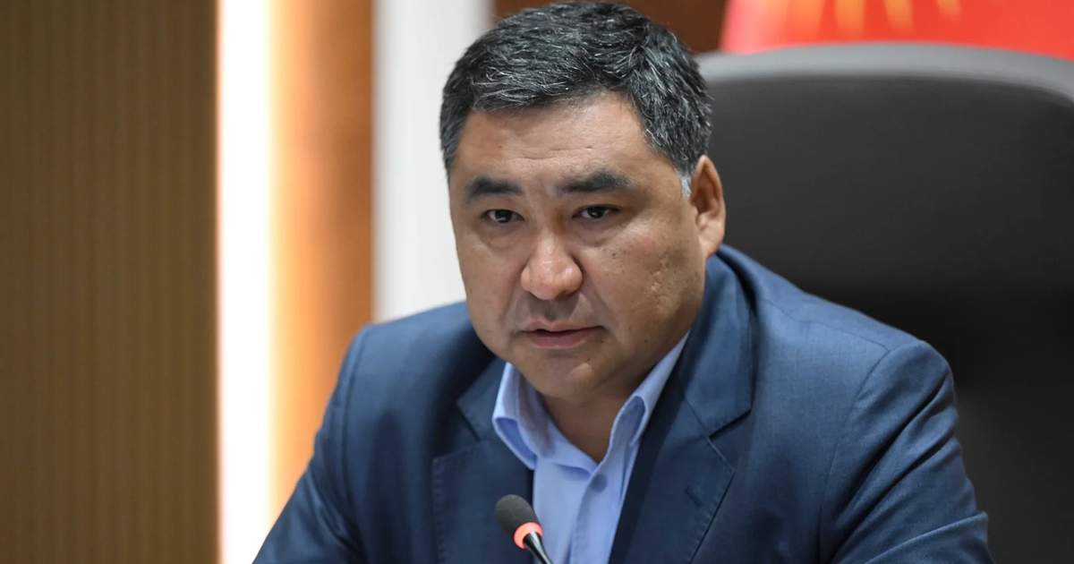 Кабмин Кыргызстана выделит 38,8 млрд сомов на поддержку экономики и продовольственную безопасность
