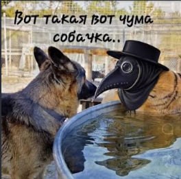 Фото: Сейчас KG