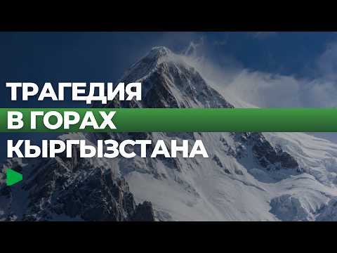 Фото: Номад ТВ (YouTube)