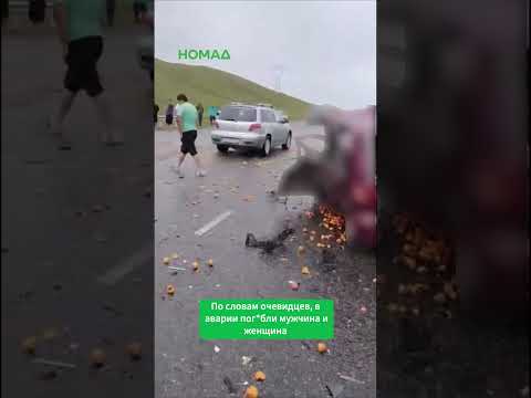 Фото: Номад ТВ (YouTube)