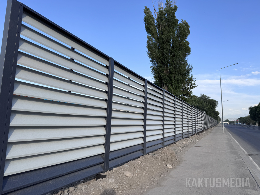 Сүрөт: Kaktus.media