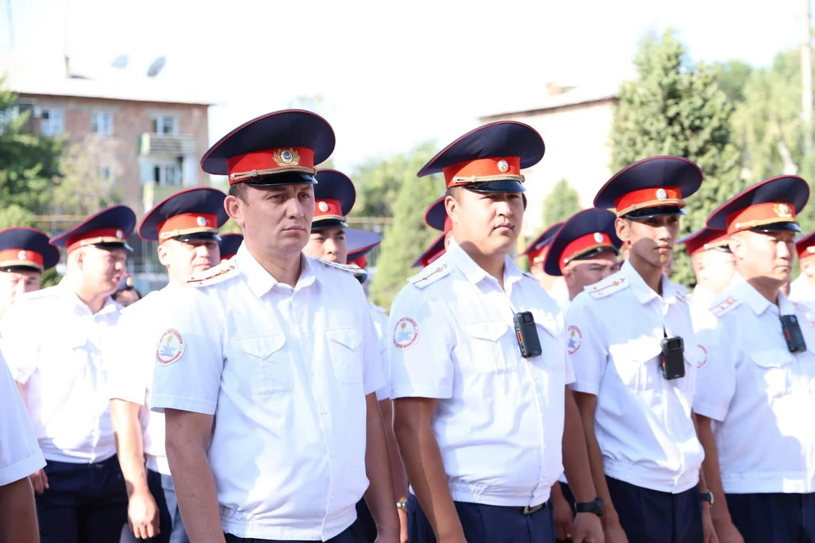 Сүрөт: Кабар (рус.)