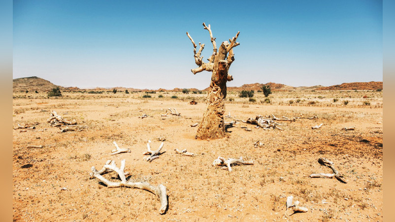 Намибия Монголиядагы UNCCD COP17 климат боюнча конференциясына катышат