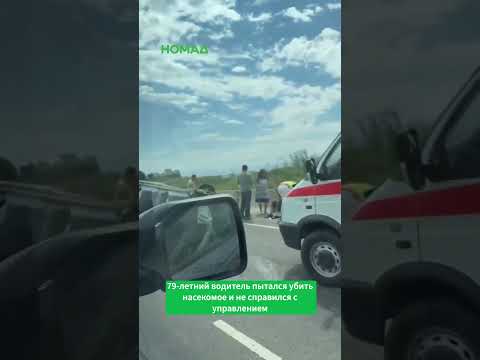 Насекомоядное едва не привело к трагедии в Кыргызстане
