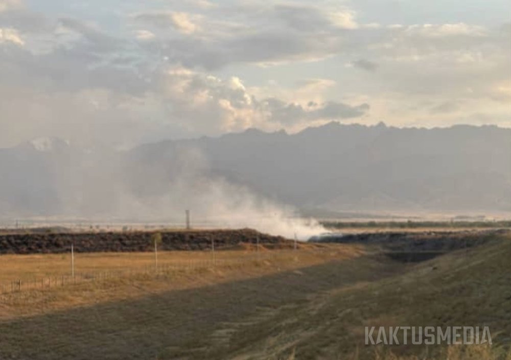 Жители Кара-Балты обратились в прокуратуру из-за хронического загрязнения воздуха от промышленных объектов