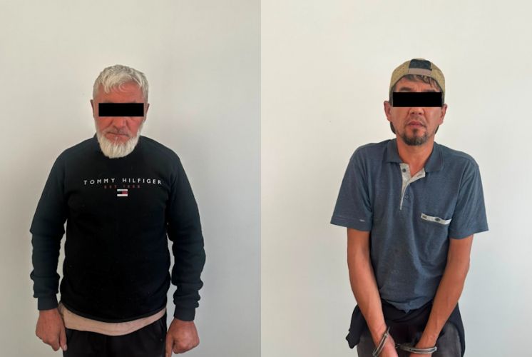 Фото: 24.kg
