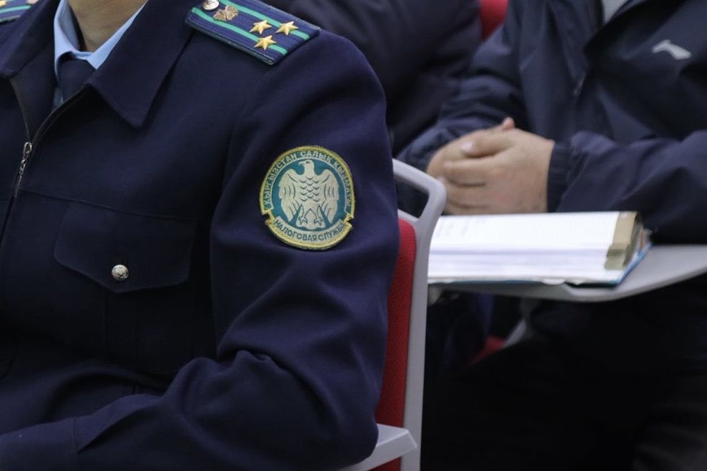 Экономика министрлиги салык кодексине өзгөртүү киргизүүнү сунуштады: документтердин берилгендигинин жаңы жолу