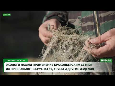 Сүрөт: Номад ТВ (YouTube)