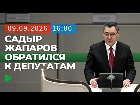 Фото: Номад ТВ (YouTube)