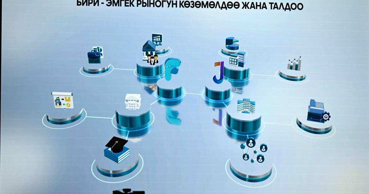 В Кыргызстане запущены две цифровые платформы для поиска работы Jumush.gov и Find-ish