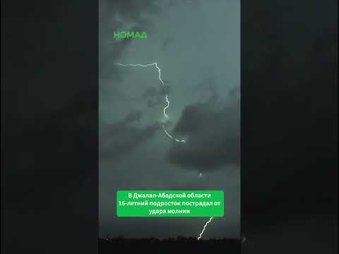 Фото: Номад ТВ (YouTube)