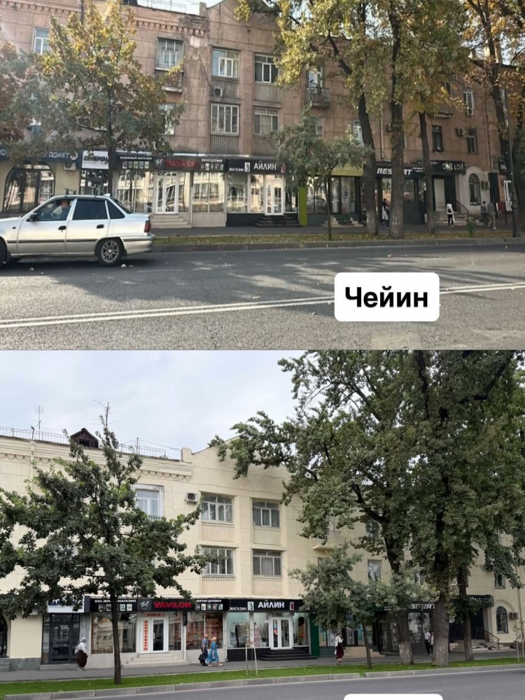Сүрөт: Kaktus.media