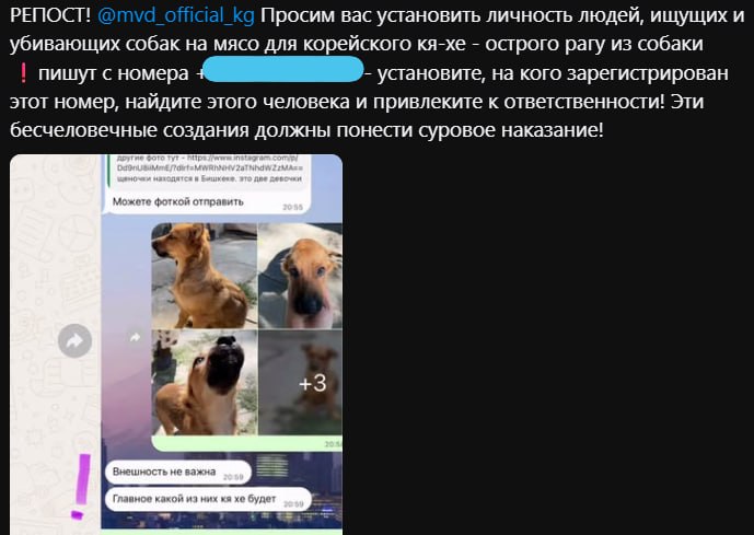 Сүрөт: Сейчас KG