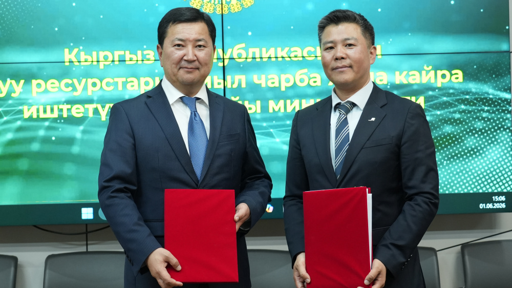 Сүрөт: Kaktus.media
