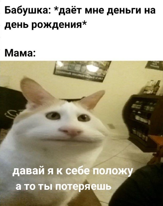 Сүрөт: Nomad