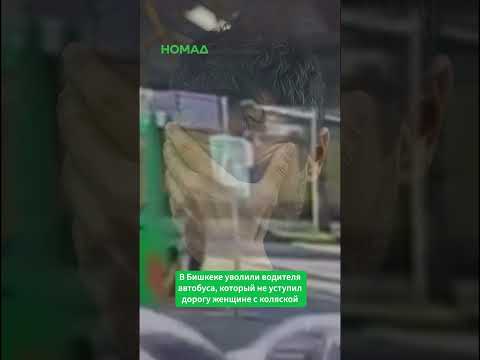 Фото: Номад ТВ (YouTube)